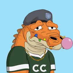 Croc #2817
