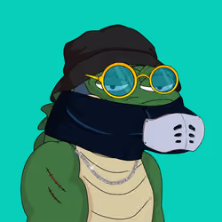 Croc #3080