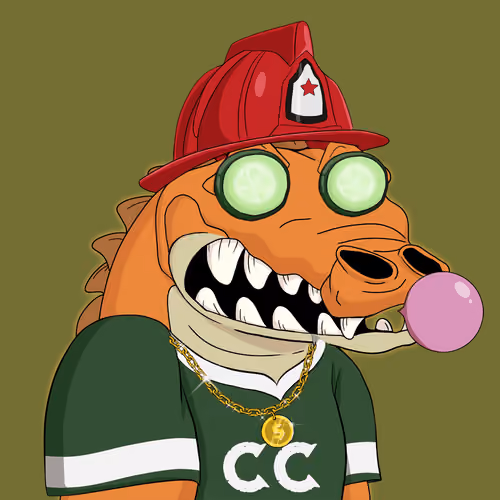 Croc #481