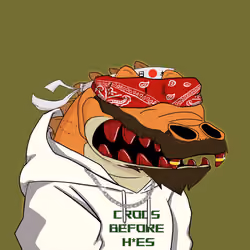 Croc #1491