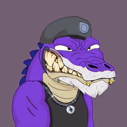 Croc #2893