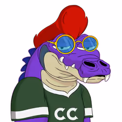 Croc #2463