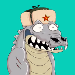 Croc #4377