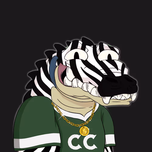 Croc #2465