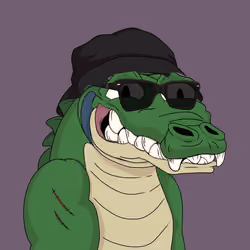 Croc #2833