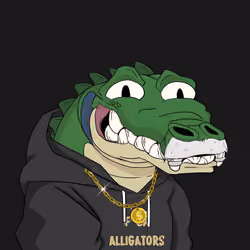 Croc #1722