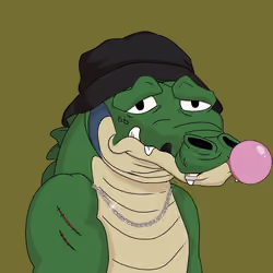 Croc #4247