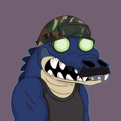 Croc #567
