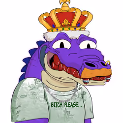 Croc #1833