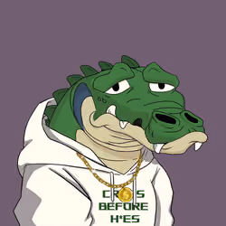 Croc #2094