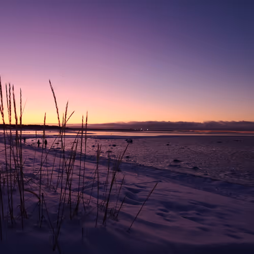 Arctic Sand Dunes #7