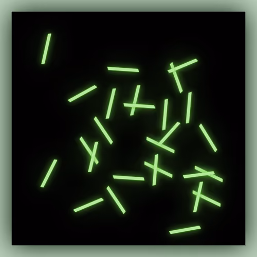 Entropy