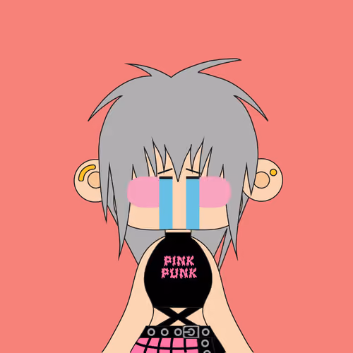 Pink Punks NFT #1691