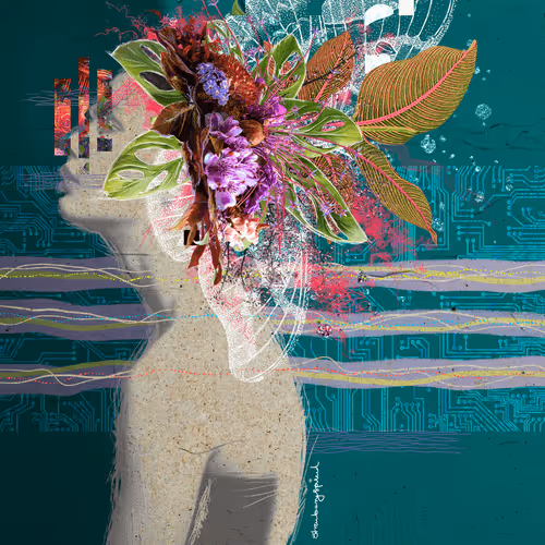 Extraordinaires - SSO