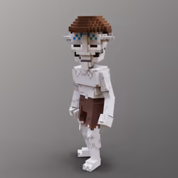 Item Media
