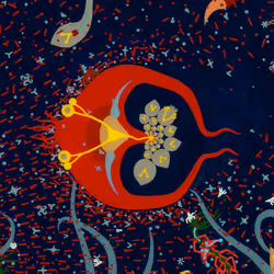 9
