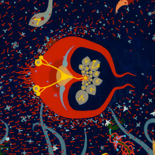 9