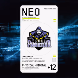 NEO TEAM NFT 【PEAKY PHANTOM】 #16