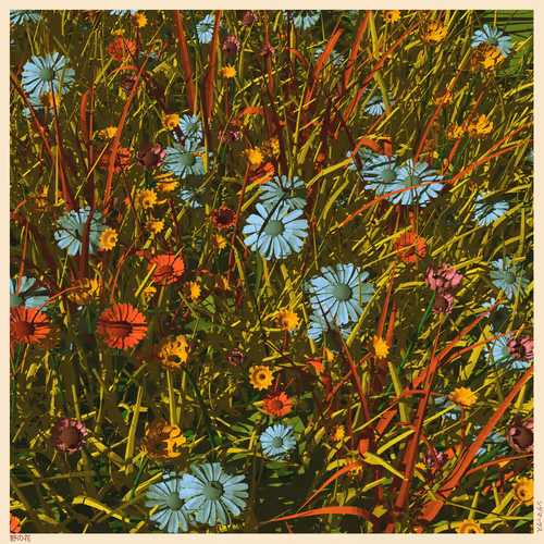 Wildflowers 110251149