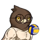 1494