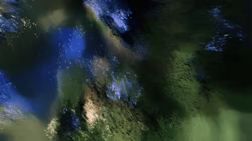 Item #607000001 Media