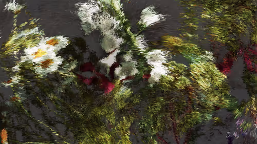 Item #778000001 Media