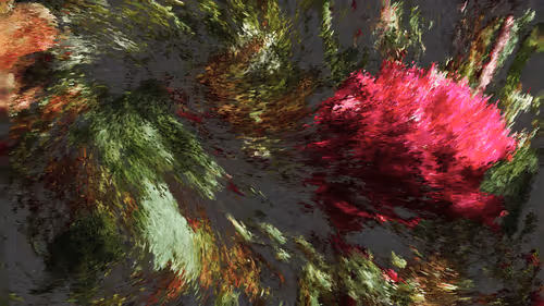 Item #780000001 Media