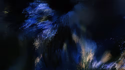 Item #604000001 Media