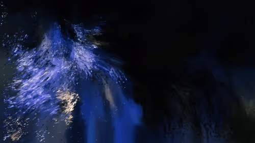 Item #605000001 Media