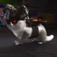 640