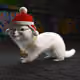 555