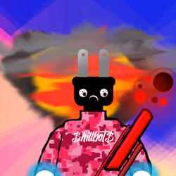 243