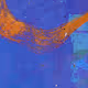 828