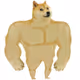 Doge404