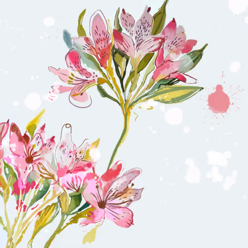 Lillies