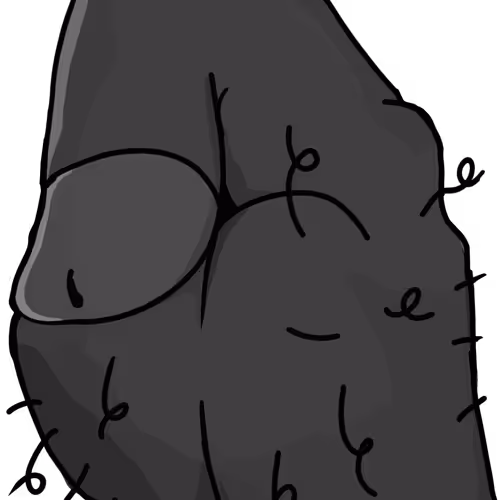 Blackcock 2