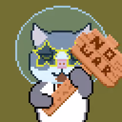 Kitty #1096