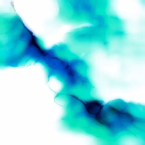 Fissures