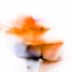Fissure 068