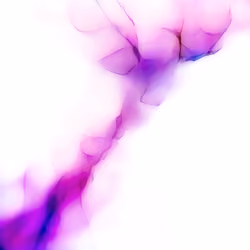 Fissure 069