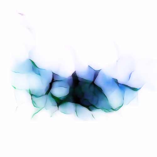 Fissure 256