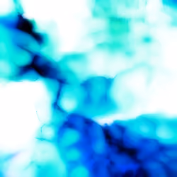 Fissure 081