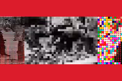 Banned #393