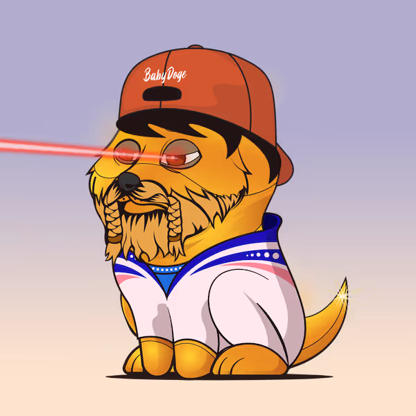 Baby Doge #9968