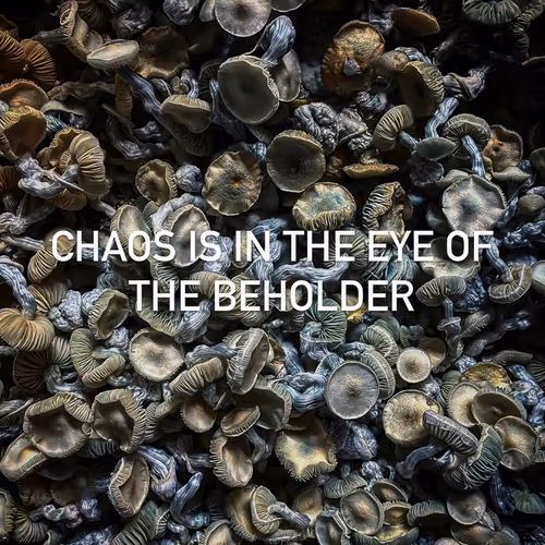 chaos is beholden