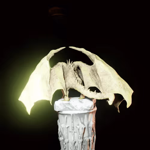 Item #46 Media