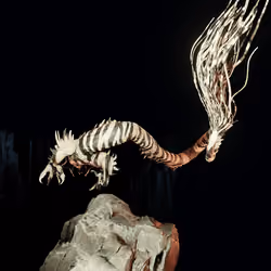 Dragon #1297