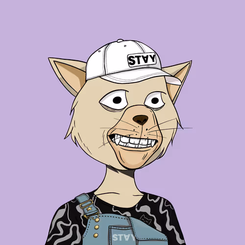 Staycats