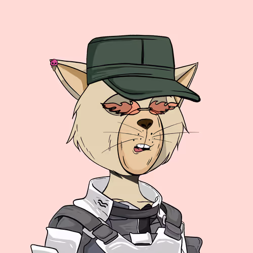 Staycats