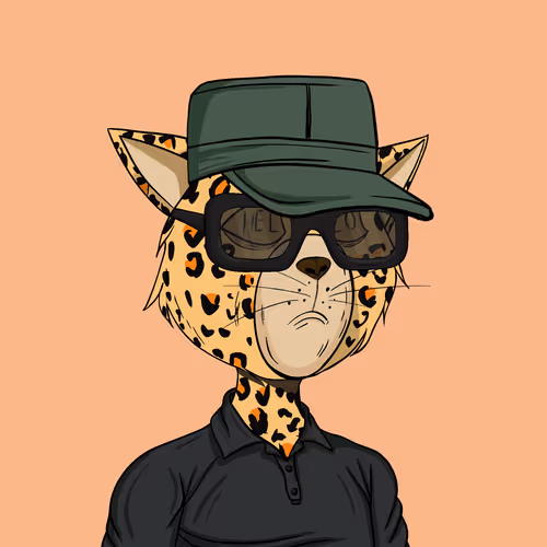 Staycats